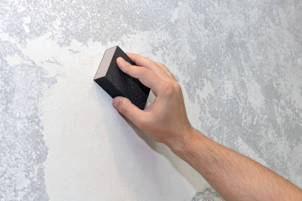 Best Residential Mold Inspection & Testing  in Glenwood City, WI