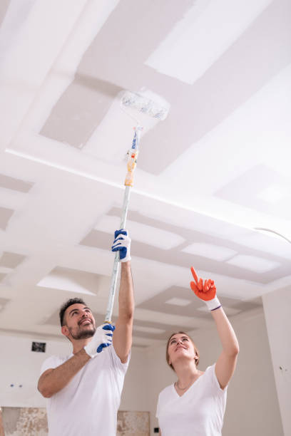 Best Basement Mold Removal  in Glenwood City, WI