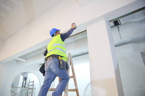 Glenwood City, WI Mold Removal Company